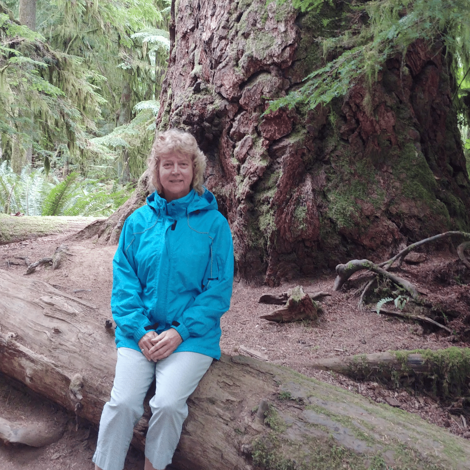 About Us – Canadian Tree Fund